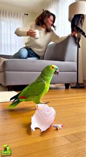 When a tiny parrot becomes a big troublemaker 😂 #funny #talkingparot #parrot #cat #shorts