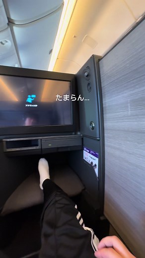 ANAのビジネスクラスに乗ってみた。 #海外旅行 #ANA #ビジネスクラスは嫌いだ