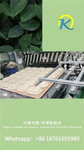 Paper Pulp Mold Edge Trimming Machine in Action | Precision Cutting Process