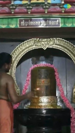 தத்ப்ரணமாமி சதா சிவலிங்கம் | Lingashtakam | Shiva Devotional Songs | #shorts #ytshorts