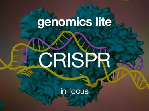 Genomics Lite: CRISPR in Focus - Resource Pack | Teaching Resources