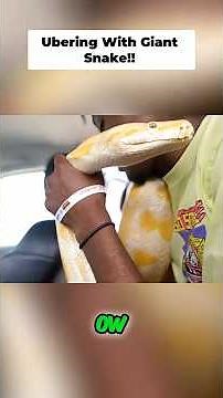 Uber GIANT Snake Ride to PetSmart😱🐍 You WON'T Believe What Happens!