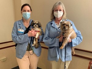 EEH recruiting new dogs for Animal-Assisted Therapy program