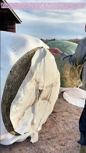 Farm Inspection: Unwrapping the Secrets of Hay Bales