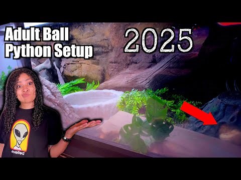 6ft Tank for A Ball Python?! | NEW Ball Python Setup 2025