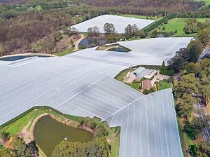 Bilpin apple orchard listed for sale for first time in 47 years - realestate.com.au