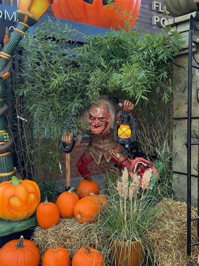 Flora Point - Świat Roślin on Reels