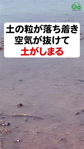 代かきの後に土が沈むのはなぜ？ #shorts