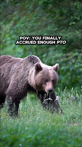 4K Yellowstone National Park Adventure Footage