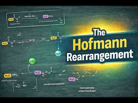 The Hofmann Rearrangement/Degradation Explained Simply | Step-by-Step Mechanism