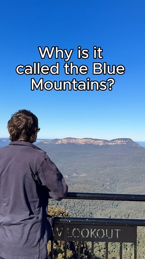 Ever wondered why it's called the Blue Mountains? #scenicworld #scenicworldbluemountains #RayleighScattering #bluemountains #australia #FeelNSW #eucalyptus #eucalyptusoil #eucalyptustree #naturelovers #lookout #instatravel #instagram_aus #threesisters #nationalparks #bluemountainsnationalpark #Katoomba | Scenic World Blue Mountains