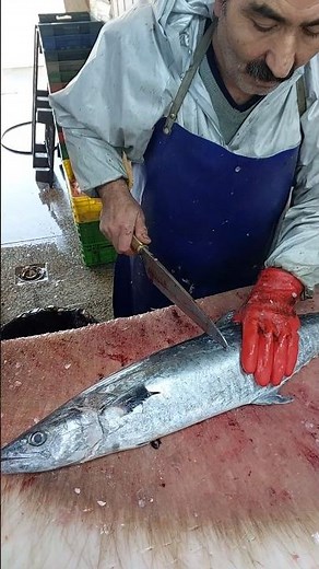King Mackerel Fish Cutting - EASIEST Way To Clean