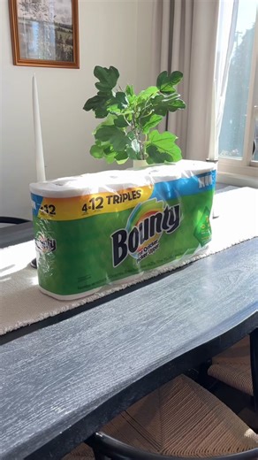 Bounty Paper Towels: Your Ultimate Cleaning Solution