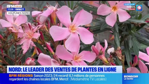 Nord: dans les coulisses du leader des ventes de plantes en ligne