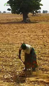 24 reactions | The farm management software is a vital part of our...