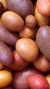 Peeps, when making a baked potato in the microwave (which is a thing, FYI) wrap the potato in wet paper towels before microwaving it. The end. | Jessie Sheehan Bakes