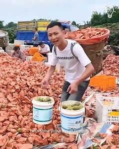 60K views · 92 reactions | Let's do some farming today! | Pretty Hairstyles | Facebook