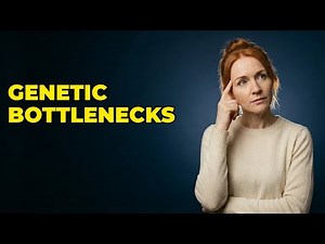 What Are Examples Of The Founder Effect In Evolution?