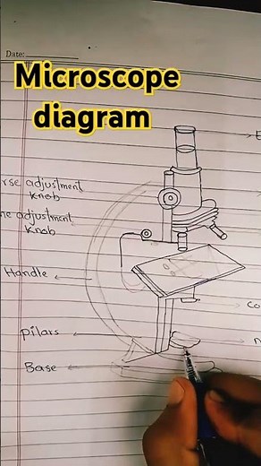 How to draw and label a microscope diagram in minutes #shorts #microscopediagram #microscopedrawing