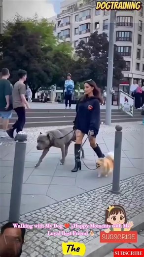 Walking with My Dog ❤️ | Happy Moments with My Loyal Best Friend 🐕 #pitbull #pets #americanbully