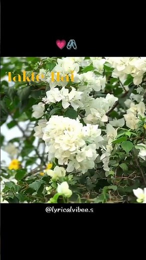 Bolo Na Kyun Ye Chand Sitare | Lyrical Video | Lyricalvibee.s #explorepage #lyrics