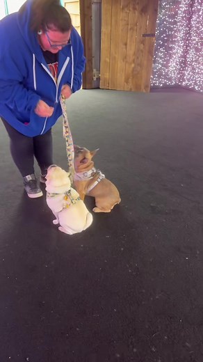 As trainers we get something a little different every day Some of...