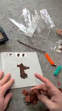 Build the Lego Bonsai Tree with me! Part 2