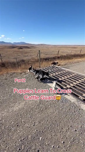 #viralvideos #unitedstates #fyp #challenge #policeofficer