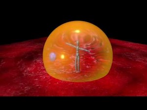 #2 Alien Knowledge "Light & Universal Medium" by TENNKAI