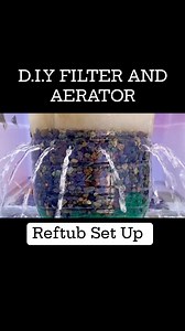 DIY filter with aeration. Safe at walang casualty sa set up namin na ito. Happy crayfish keeping everyone! 🦞 | Giant Line Crayfish by Lauren’s Farm