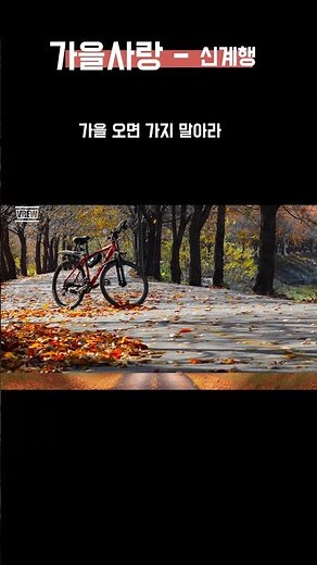 #가을사랑(1987) #신계행 #7080 #추억의가요 #가을노래
