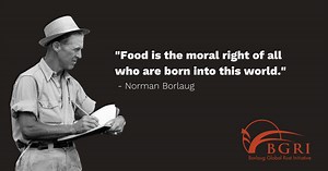 Dr. Norman Borlaug - BGRI - Borlaug Global Rust Initiative