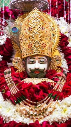 सांवरिया सेठ की माया 😍🙏ll Khatu Shyam Status ll #khatubhajans #khatushyam #youtubeshorts #shorts