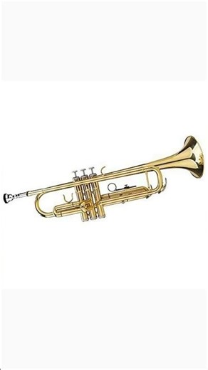 Elevate Your Playing with the Trumpet Standard Set!