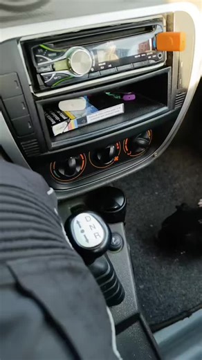 #catel #iubitianimalele #fyp #amintire TikTok