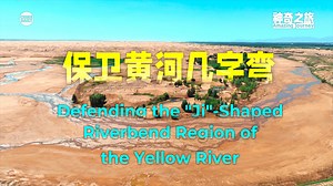 A 420-kilometer-long, 3-kilometer-wide "Green Great Wall" of forests will soon span the Kubuqi Desert, forcibly severing the path of sand. As the launching site for the three landmark campaigns of the Three North Shelter Forest Program (TNSFP), the 几 character-shaped riverbed region of the Yellow River is Northern China's fiercest ecological battleground. This green defense line, built with human effort, technology and collaboration, not only safeguards the ecological security of the Yellow Rive