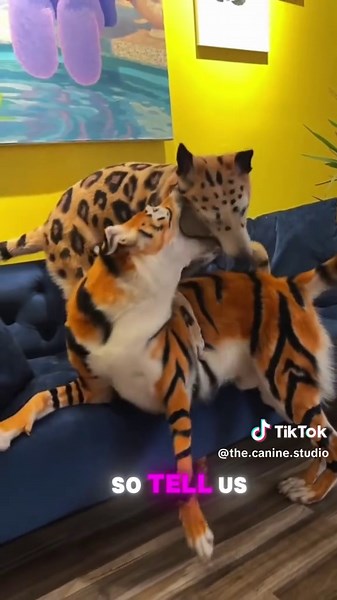 Leopard Dog Breed: Reality or Myth?