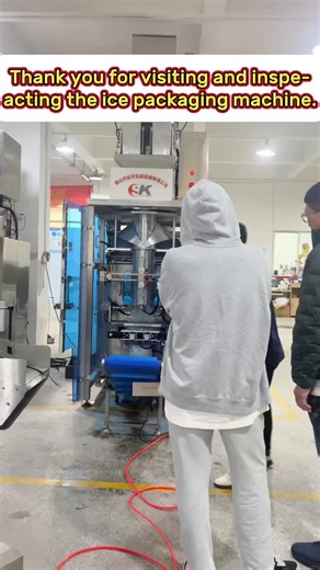 Automatic Ice Pack Packaging Machine Testing