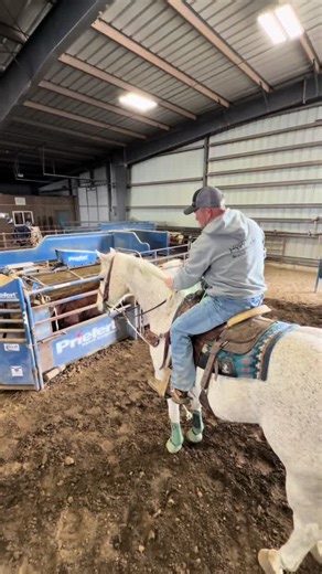 Exploring Classic Ropes in Team Roping Competition