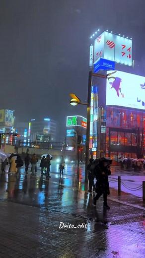 14K views · 729 reactions | ශීත ඍතුව කියන්නෙම ජපානයේ ලස්සනම කාලයක්...