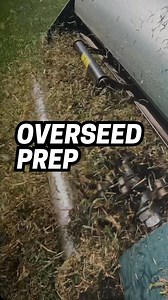 35K views · 476 reactions | WHAT AM I DOING TO MY LAWN!? 勞 ⤵️ I put...