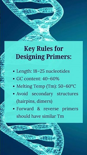 How to design a Primer using Bioinformatics tools?