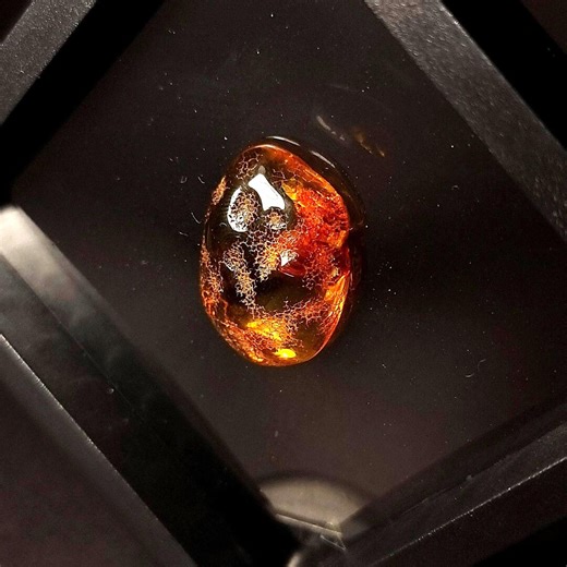 Natural Baltic Amber Specimen – Floating Frame Display – Elegant Nature Inspired Desk or Home Decor - Etsy UK