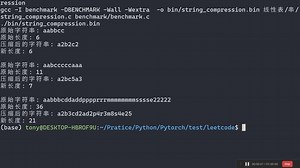 [C语言] 443.压缩字符串