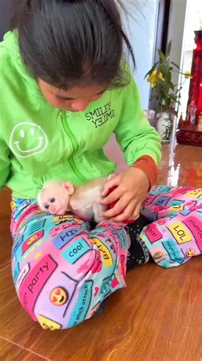 Heartwarming Moments Between Mother and Baby Monkey