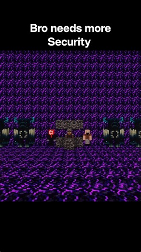 Bro needs more Security #minecraft