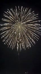 12 Crackling Brocade Crown to Double Crackling Pistil RiseRed Tail RiseCrackling Small Flowers #fireworks #fireworkshow #feuerwerk #fuegosartificiales #huge #pyrography #satisfying #satisfyingvideos #fbreels #reels #fyp #foryou #virals #fypシ゚viral | Firework Cloud