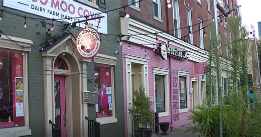 Private security firm aims to help combat crime in Baltimore's Federal Hill