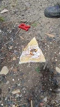 Yes, shellac burns along with polystyrene