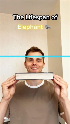The Lifespan of different animals